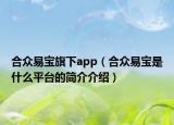 合众易宝旗下app（合众易宝是什么平台的简介介绍）