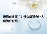 吸猫有多爽（为什么吸猫会让人爽简介介绍）