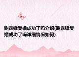 谢霆锋复婚成功了吗介绍(谢霆锋复婚成功了吗详细情况如何)