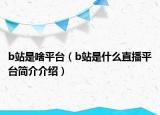 b站是啥平台（b站是什么直播平台简介介绍）