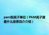 pam阳离子单位（PAM离子度是什么意思简介介绍）