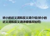 娇小的近义词和反义词介绍(娇小的近义词和反义词详细情况如何)