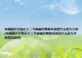 电视剧步步惊心十三爷被幽禁养蜂夹道是什么是方介绍(电视剧步步惊心十三爷被幽禁养蜂夹道是什么是方详细情况如何)
