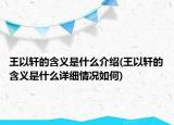 王以轩的含义是什么介绍(王以轩的含义是什么详细情况如何)