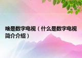 啥是数字电视（什么是数字电视简介介绍）