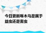 今日更新啄木鸟是属于益虫还是害虫