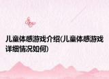 儿童体感游戏介绍(儿童体感游戏详细情况如何)
