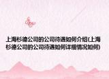上海杉德公司的公司待遇如何介绍(上海杉德公司的公司待遇如何详细情况如何)