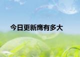 今日更新鹰有多大