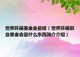 世界环保基金会是啥（世界环保创业基金会是什么东西简介介绍）