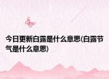今日更新白露是什么意思(白露节气是什么意思)