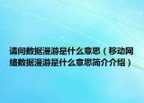 请问数据漫游是什么意思（移动网络数据漫游是什么意思简介介绍）