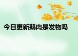 今日更新鹅肉是发物吗