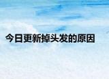今日更新掉头发的原因