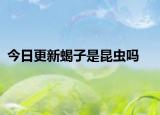 今日更新蝎子是昆虫吗