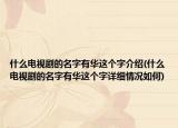 什么电视剧的名字有华这个字介绍(什么电视剧的名字有华这个字详细情况如何)