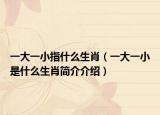 一大一小指什么生肖（一大一小是什么生肖简介介绍）