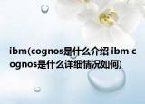 ibm(cognos是什么介绍 ibm cognos是什么详细情况如何)