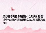 新少林寺刘德华耍的是什么功夫介绍(新少林寺刘德华耍的是什么功夫详细情况如何)