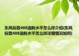 东风标致408油耗水平怎么样介绍(东风标致408油耗水平怎么样详细情况如何)