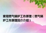 家用燃气锅炉工作原理（燃气锅炉工作原理简介介绍）