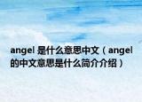 angel 是什么意思中文（angel的中文意思是什么简介介绍）