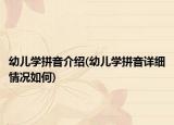 幼儿学拼音介绍(幼儿学拼音详细情况如何)