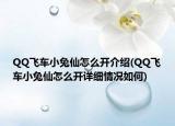 QQ飞车小兔仙怎么开介绍(QQ飞车小兔仙怎么开详细情况如何)