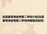 在盛夏等待会有第二季吗介绍(在盛夏等待会有第二季吗详细情况如何)