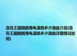 洛克王国圈圈海龟满级多少滴血介绍(洛克王国圈圈海龟满级多少滴血详细情况如何)