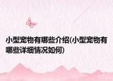小型宠物有哪些介绍(小型宠物有哪些详细情况如何)