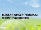 那段让人怀念的日子介绍(那段让人怀念的日子详细情况如何)