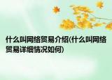 什么叫网络贸易介绍(什么叫网络贸易详细情况如何)