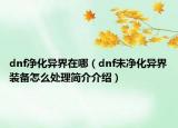dnf净化异界在哪（dnf未净化异界装备怎么处理简介介绍）