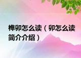 榫卯怎么读（卯怎么读简介介绍）