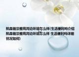 凯森福景雅苑周边环境怎么样(生活便利吗介绍 凯森福景雅苑周边环境怎么样 生活便利吗详细情况如何)