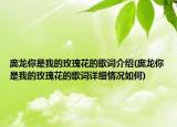 庞龙你是我的玫瑰花的歌词介绍(庞龙你是我的玫瑰花的歌词详细情况如何)