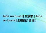 hide on bush什么意思（hide on bush什么梗简介介绍）