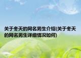 关于冬天的网名男生介绍(关于冬天的网名男生详细情况如何)