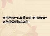 斋祀用的什么秘籍介绍(斋祀用的什么秘籍详细情况如何)