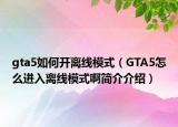 gta5如何开离线模式（GTA5怎么进入离线模式啊简介介绍）