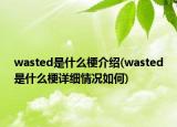 wasted是什么梗介绍(wasted是什么梗详细情况如何)