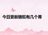 今日更新骆驼有几个胃