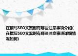 在撰写SEO文案时有哪些注意事项介绍(在撰写SEO文案时有哪些注意事项详细情况如何)