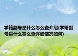 学籍副号是什么怎么查介绍(学籍副号是什么怎么查详细情况如何)