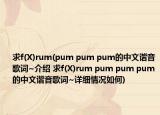 求f(X)rum(pum pum pum的中文谐音歌词~介绍 求f(X)rum pum pum pum的中文谐音歌词~详细情况如何)