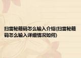 扫雷秘籍码怎么输入介绍(扫雷秘籍码怎么输入详细情况如何)