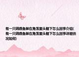 有一只鹦鹉鱼躲在角落里头朝下怎么回事介绍(有一只鹦鹉鱼躲在角落里头朝下怎么回事详细情况如何)