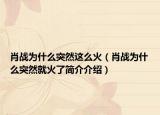 肖战为什么突然这么火（肖战为什么突然就火了简介介绍）