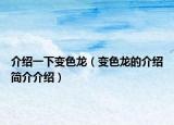 介绍一下变色龙（变色龙的介绍简介介绍）